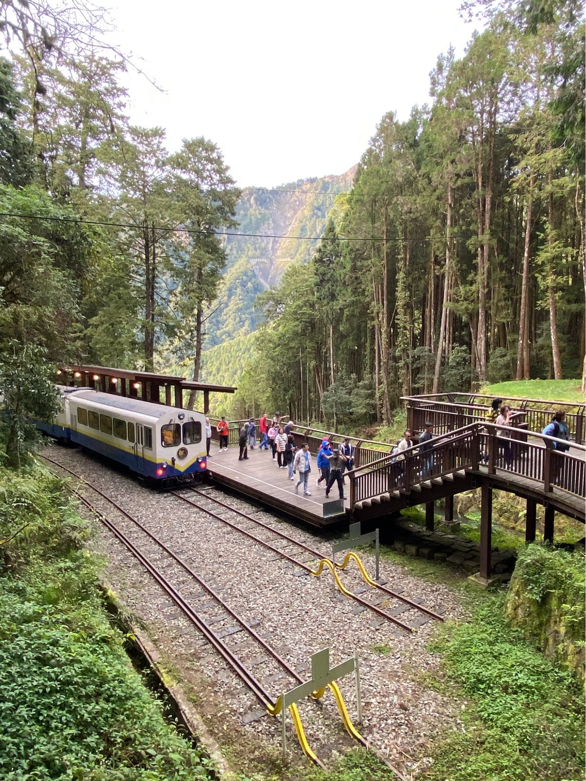 The Alishan Forest Railway map with its spiral up Dulishan, a vista at a midway station, the view from the window, and the end-of-the-line station in Alishan Forest Park