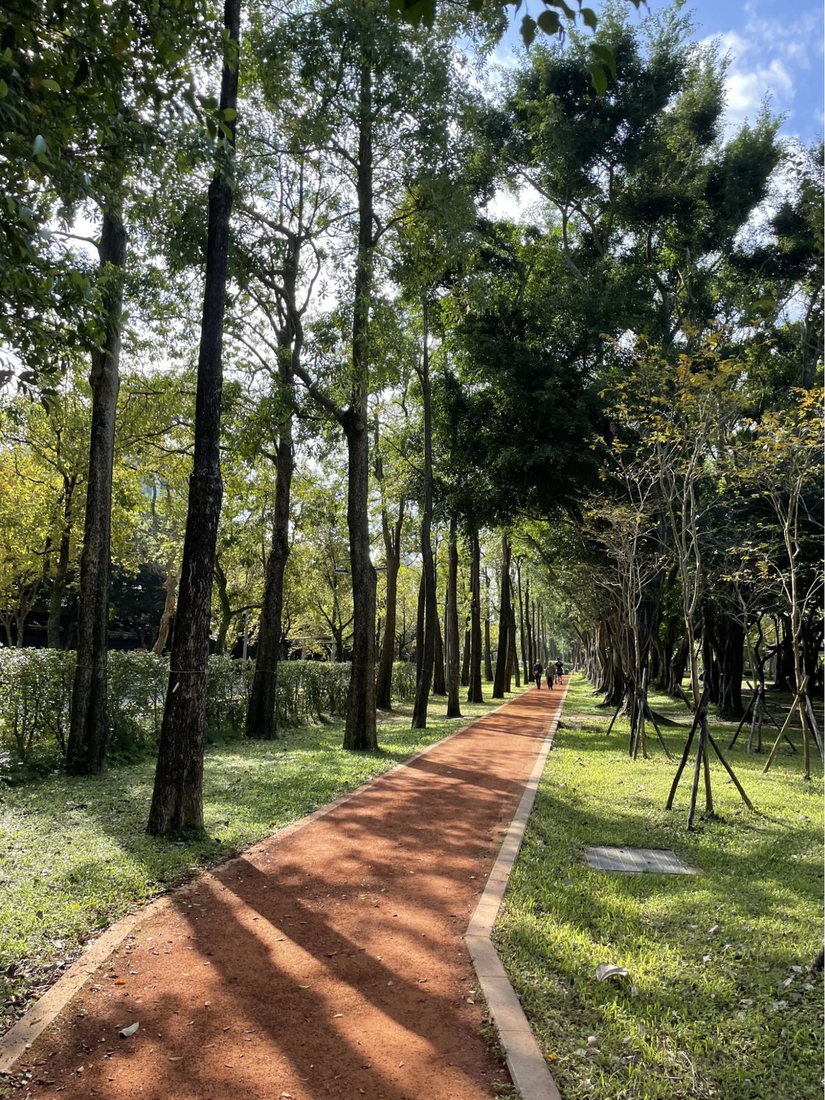 Running in Da'an Park (left) and the U-bike shared bike system (right)